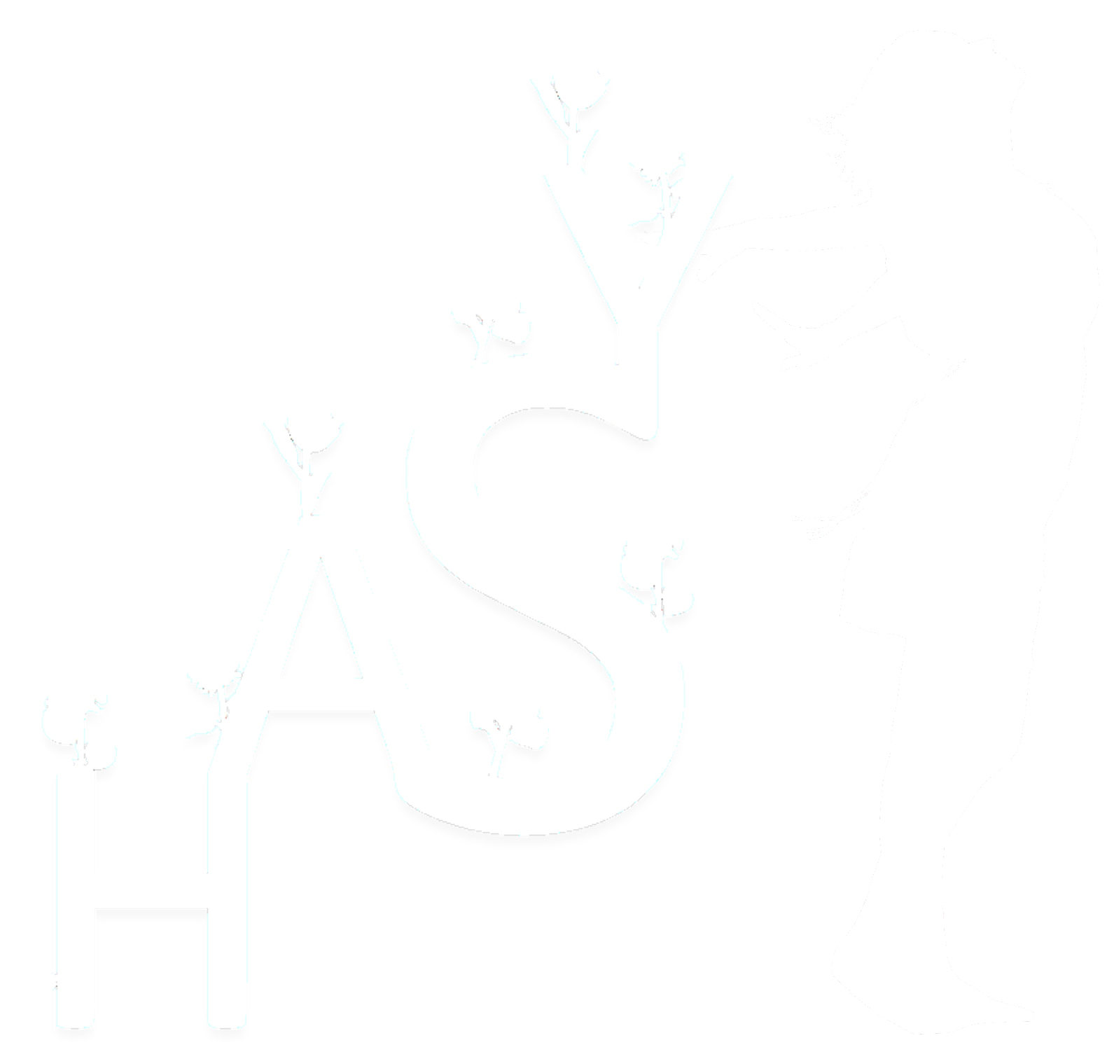 https://frentle.fra1.digitaloceanspaces.com/657cc885a5b6ee99473821be/1749299754798.png